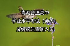 青海普通高中学业水平考试（会考）成绩报告查询入口