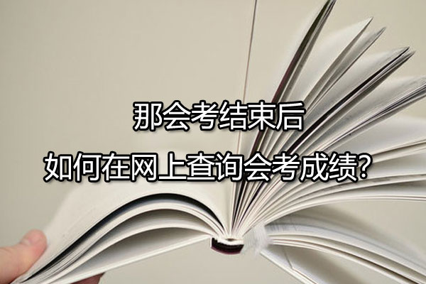 那么会考结束后如何在网上查询会考成绩？