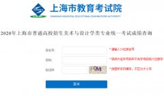 2020年上海市美术类专业统考成绩查询入口http://180.169.96.78