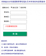 2020河南美术统考成绩查询入口http://www.heao.gov.cn